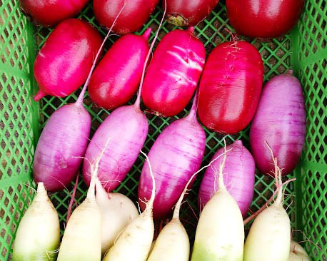 立川の野菜はおいしい たらった 立川