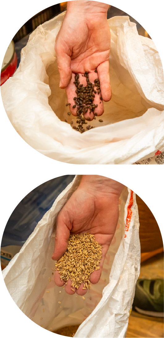 麦芽の粉砕