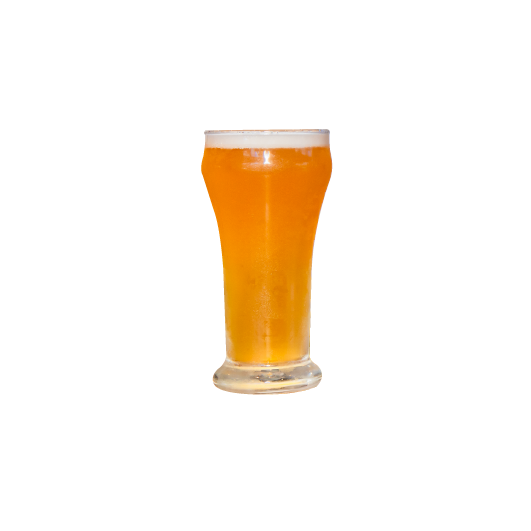 ビール写真